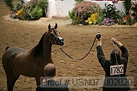 usn07_j02820 proof