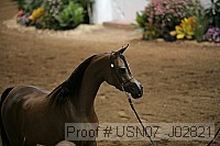 usn07_j02821 proof