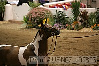 usn07_j02826 proof