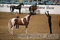 usn07_j02827 proof