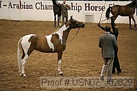 usn07_j02829 proof