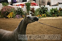 usn07_j02830 proof
