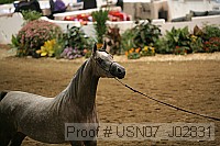 usn07_j02831 proof