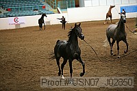 usn07_j02850 proof
