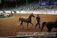 usn07_j02851 proof