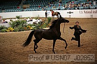 usn07_j02852 proof