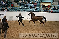 usn07_00129 proof