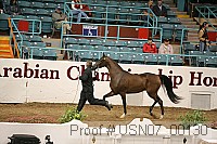 usn07_00130 proof