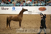 usn07_00131 proof