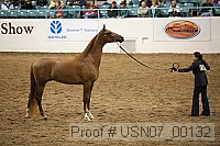 usn07_00132 proof