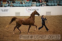 usn07_00133 proof