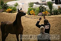 usn07_00135 proof