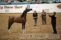 usn07_00137 proof