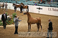 usn07_00140 proof