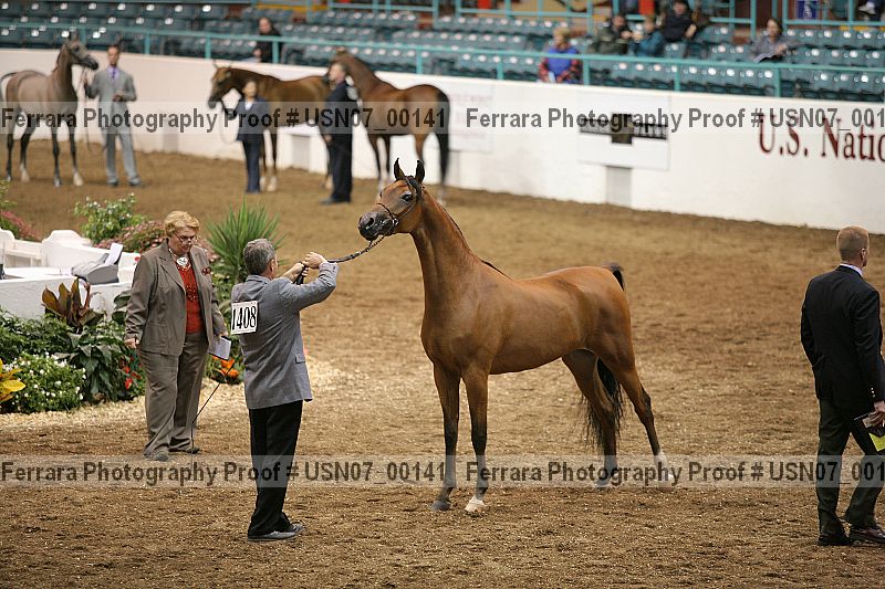 Proof usn07_00141