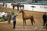 usn07_00141 proof