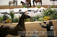 usn07_00144 proof