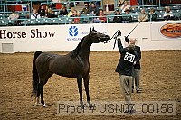 usn07_00156 proof