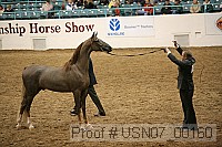 usn07_00160 proof