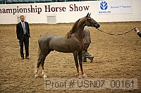 usn07_00161 proof