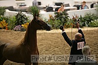 usn07_00162 proof