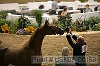 usn07_00163 proof