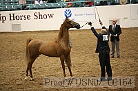 usn07_00164 proof