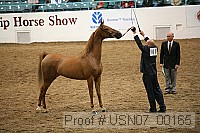 usn07_00165 proof