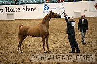 usn07_00166 proof