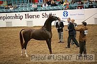usn07_00168 proof
