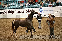 usn07_00169 proof