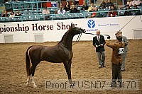 usn07_00170 proof