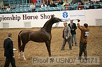 usn07_00171 proof