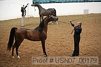 usn07_00179 proof