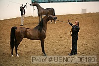 usn07_00180 proof