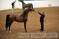 usn07_00181 proof