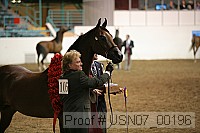 usn07_00196 proof