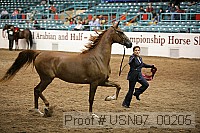 usn07_00205 proof