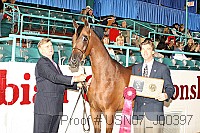 usn07_j00397 proof