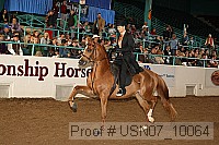 usn07_10064 proof