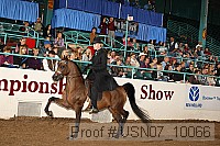 usn07_10066 proof