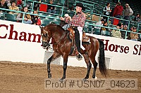 usn07_04623 proof