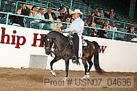 usn07_04636 proof