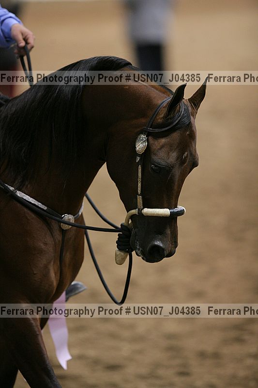 Proof usn07_j04385