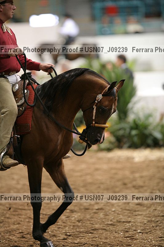 Proof usn07_j09239