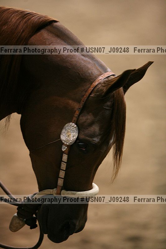 Proof usn07_j09248