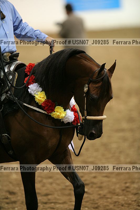 Proof usn07_j09285