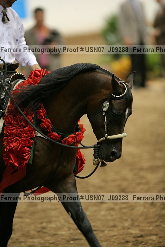 Proof usn07_j09288