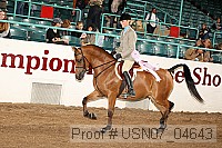 usn07_04643 proof