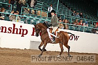 usn07_04645 proof